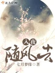 入夜随风去封面