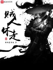 贼人休走封面