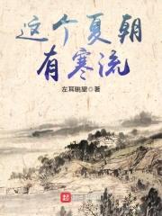 这个夏朝有寒流封面