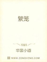 繁笼封面