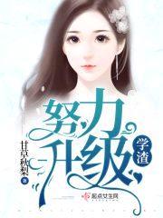 学渣努力升级封面