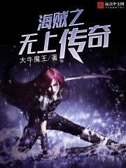 海贼之无上传奇封面