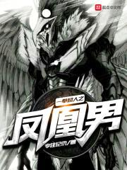 一拳超人之凤凰男封面