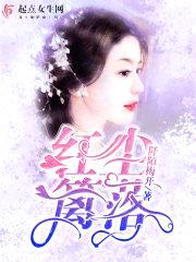 红尘篱落封面