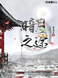 暗月之途封面