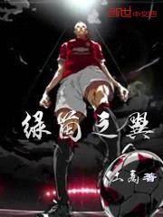 绿茵之翼封面