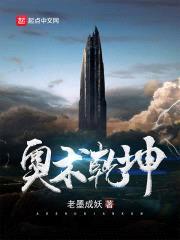 奥术乾坤封面