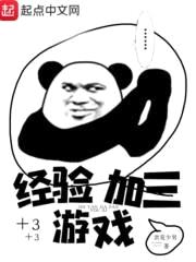 经验加三游戏封面