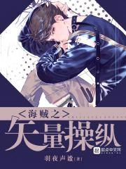 海贼之矢量cao纵封面