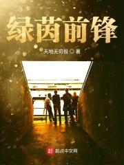 绿茵前锋封面