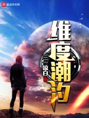 维度潮汐封面