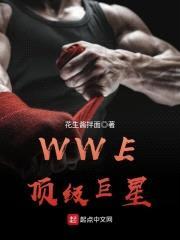 WWE顶级巨星封面