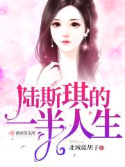 陆斯琪的一半人生封面