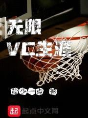 无限VC生涯封面