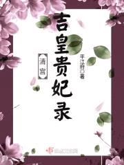清宫吉皇贵妃录封面
