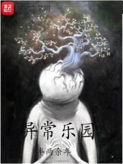 异常乐园封面
