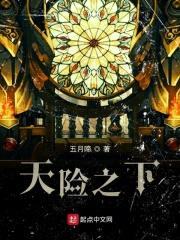 天险之下封面