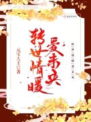 转世情暖爱未央封面