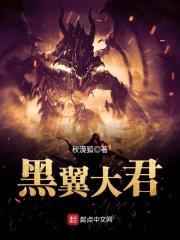 黑翼大君封面