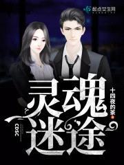 灵魂迷途封面