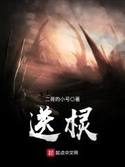 送棂封面