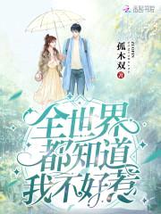 全世界都知道我不好惹封面