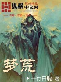 梦荒1封面