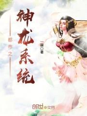都市之神龙系统封面