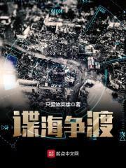 谍海争渡封面