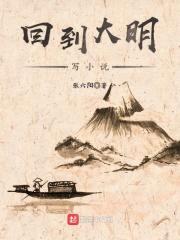 回到大明写小说封面