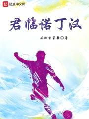 君临诺丁汉封面