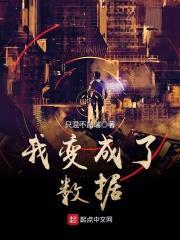 我变成了数据封面