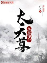 无量你个大天尊封面