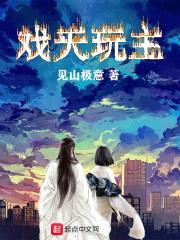戏天玩主封面