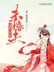 将军我可以封面