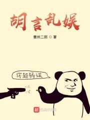 胡言乱娱封面