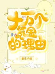 十万个氪金的理由封面