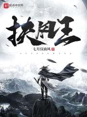 扶风王封面