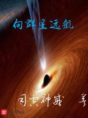 向群星远航封面