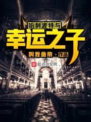 哈利波特与幸运之子封面