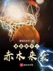 灌篮高手之赤木来袭封面