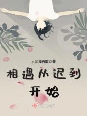 相遇从迟到开始封面