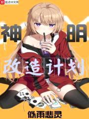 神明改造计划封面