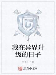 我在异界升级的日子封面