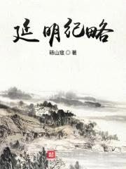 延明纪略封面