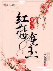 穿书之红楼黛玉封面