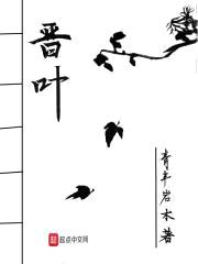 晋叶封面