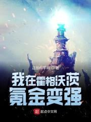 我在霍格沃茨氪金变强封面