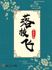 落枝飞封面