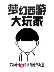梦幻西游一个小方寸封面